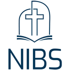 NIBS 图标