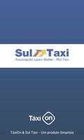 Poster Sul Taxi