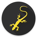 SóCarrão Revendas APK