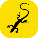 SóCarrão APK