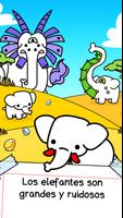 Elephant Evolution Poster