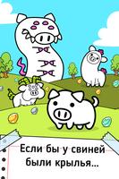 Pig Evolution постер
