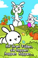 Rabbit Evolution Plakat