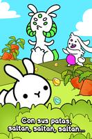 Rabbit Evolution Poster