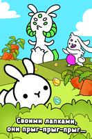 Rabbit Evolution постер