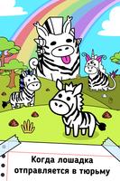 Zebra Evolution постер