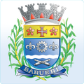 Câmara Barueri App