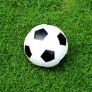 Bolão Fut APK