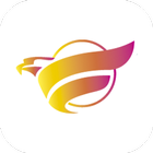 Flynet icon
