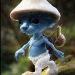 Indo Ali icon