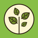 Nutricar APK