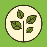 Nutricar icon