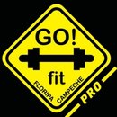 Go Fit Pro APK