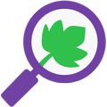 Nepe Search