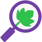 Nepe Search icon