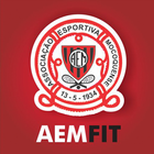 AEM FIT icône