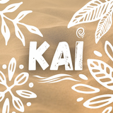KAI 图标