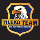 Tileko Team APK