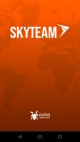 SkyTeam 海報