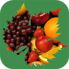 Frutt's Hortifruti icône