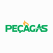 Peça Gás icon