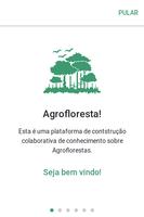 Rede Agroflorestal पोस्टर