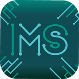 MS Digital