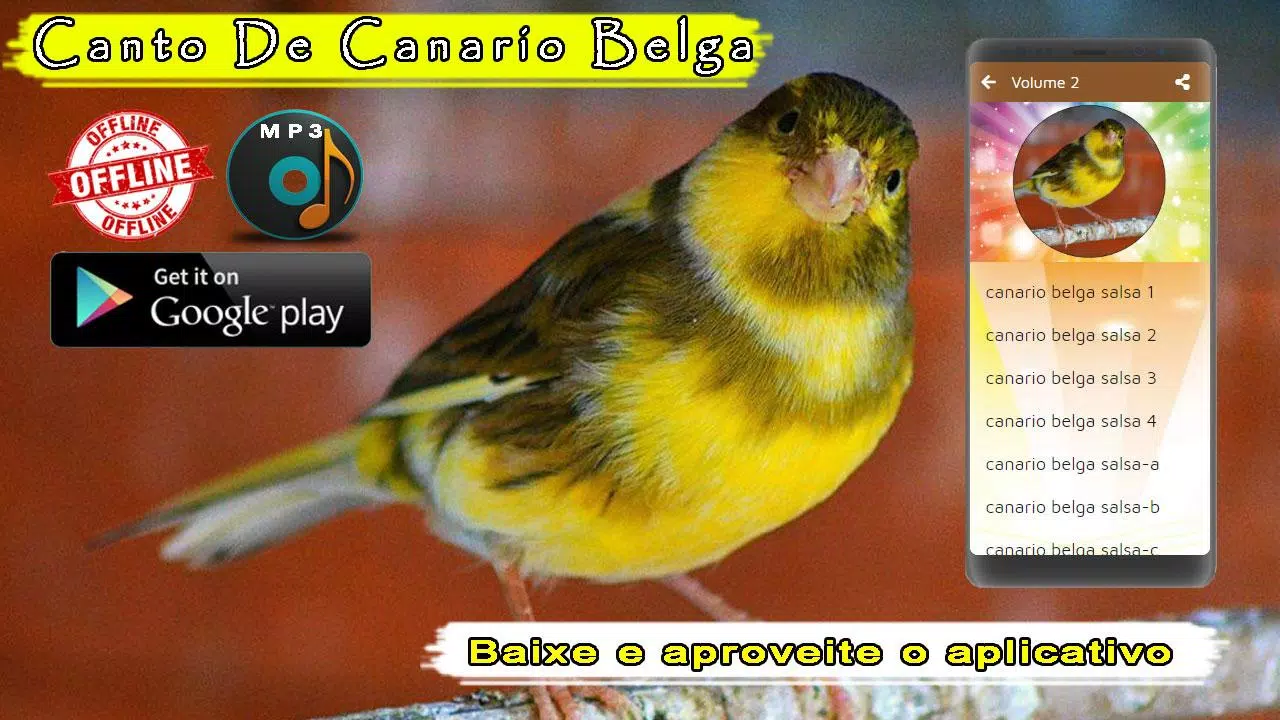 Canto De Canario Belga APK for Android Download