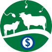 Cria Certo icon