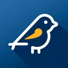 Pardal APK download