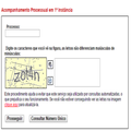 Consulta Processual TRT-SP