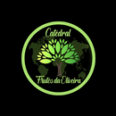 Catedral Oficial APK