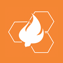 IBNC.ONLINE APK