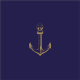 NavSupply أيقونة