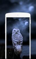 Owl Wallpaper ảnh chụp màn hình 2