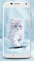 Cute Cats Wallpaper پوسٹر