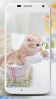 Cute Cats Wallpaper ภาพหน้าจอ 1