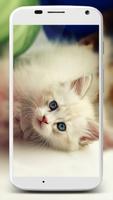 Cute Cats Wallpaper स्क्रीनशॉट 2