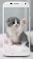 Cute Cats Wallpaper स्क्रीनशॉट 3