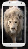 White Lion Wallpapers capture d'écran 3