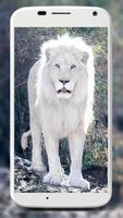 White Lion Wallpapers Affiche