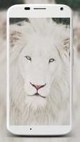 White Lion Wallpapers 截圖 1