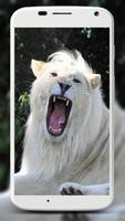 White Lion Wallpapers screenshot 2