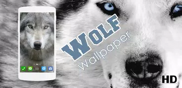Wolf Wallpaper