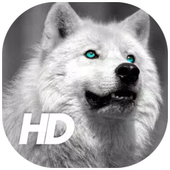 Wolf Wallpaper APK 下載