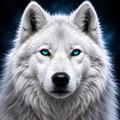 Wolf Wallpaper
