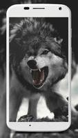 Wolf Wallpaper Affiche