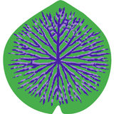 ARACI.lab APK