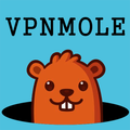 Fastest VPN 2019 - VPNmole