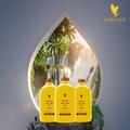 BRUNO HEALTH&FITNESS